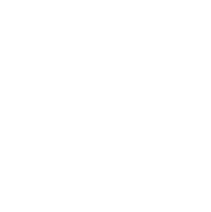 Solution icon